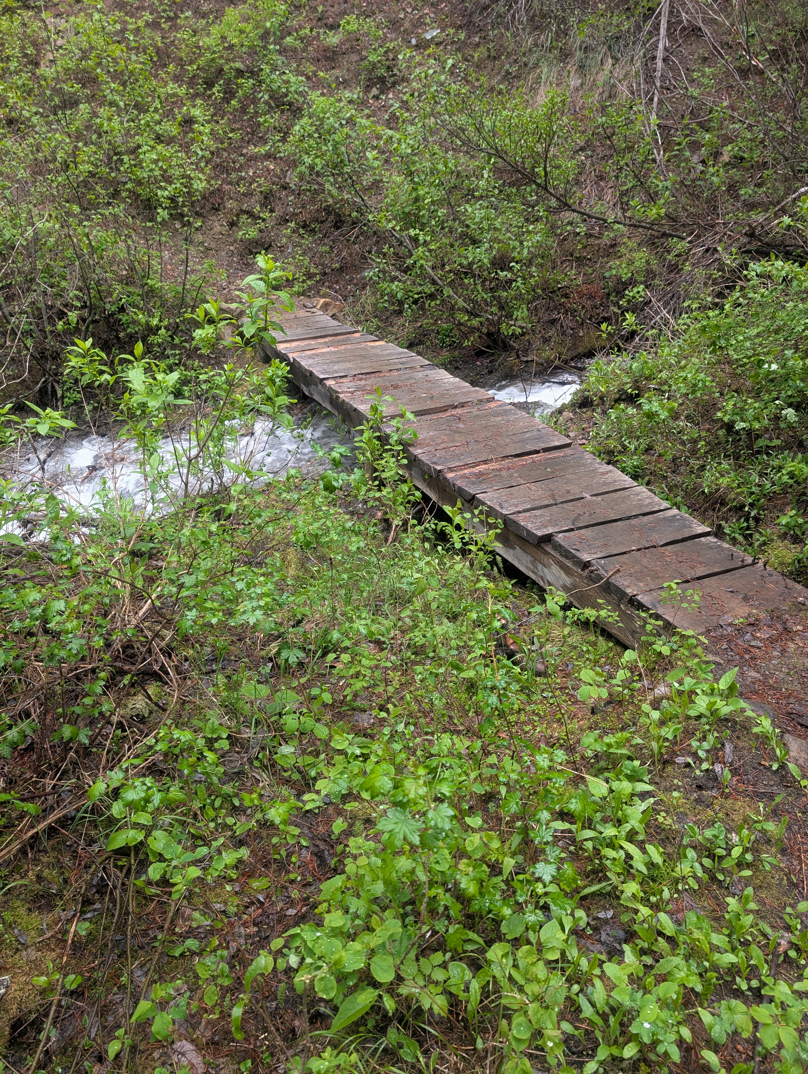 another bridge 